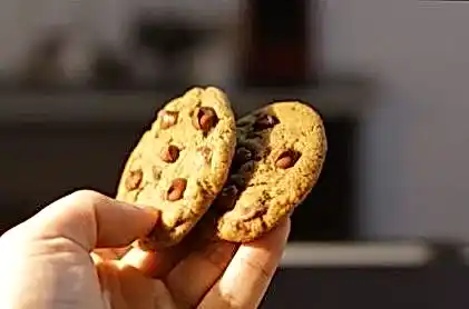 JvSpin casino dd87e5